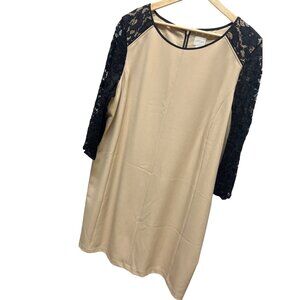 Chico's Neutral Sheath Dress with Black Lace Sleeves